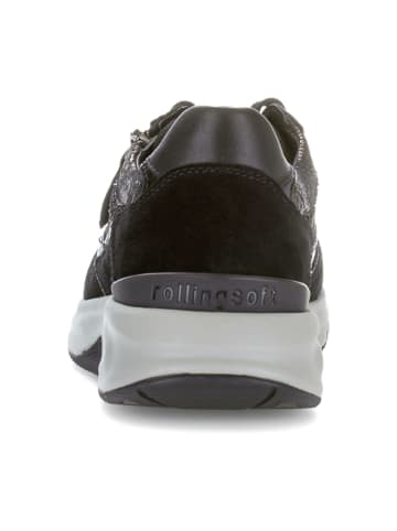 Gabor Sportliche Schnürschuhe in Grau