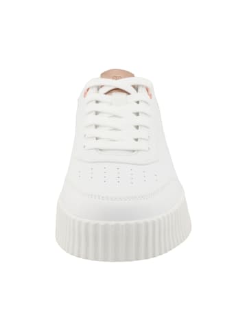 Kappa Sneakers Low in white