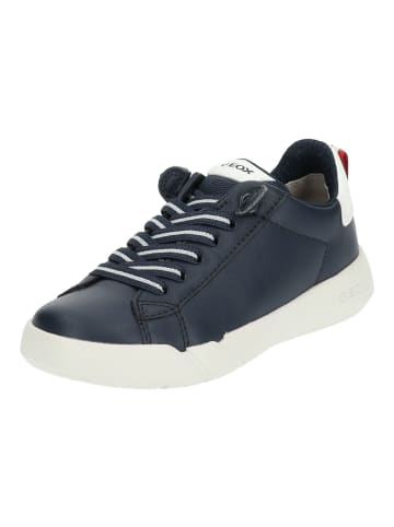 Geox Sneaker in Navy/Weiß