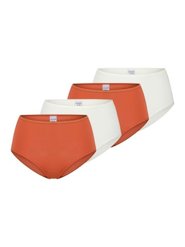 Schiesser Midi Slip Modal Essentials in Mehrfarbig