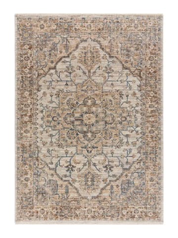 Atticgo Kurzflor-Teppich SAMARKAND in mehrfarbig