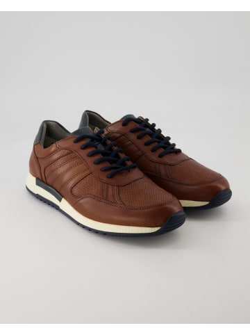 Sioux Sneaker low in Braun