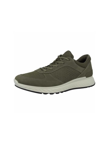 Ecco Sneakers in taupe