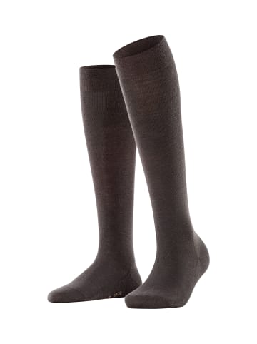 Falke Kniestrümpfe Softmerino in Dark brown