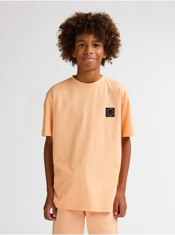 Petrol Industries Jersey T-Shirt Saguaro in Orange