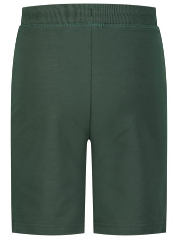 Salt and Pepper  Bermudas Powerful in pine green