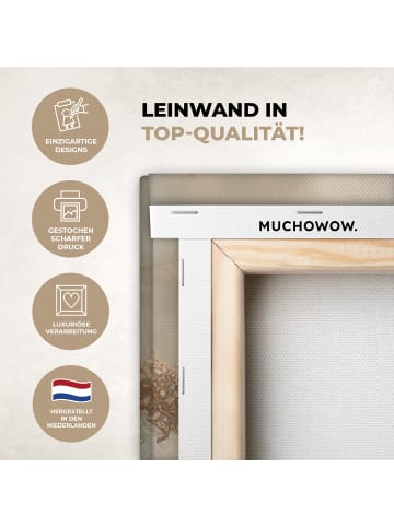 MuchoWow Leinwand bilder Löwe (BxH)