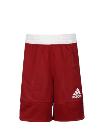 adidas Performance Funktionsshorts 3G Speed Reversible in weinrot / weiß