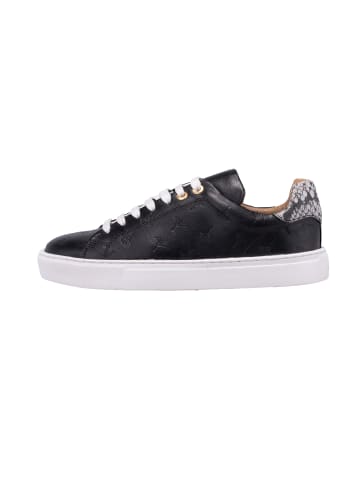 JOOP! Sneaker 'Piatto Misto Cari in Schwarz'