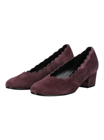 Gabor Pumps in violett