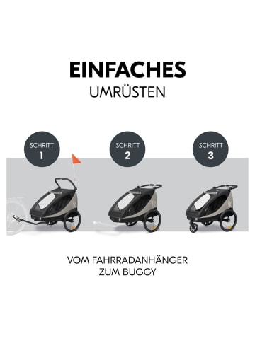 Hauck 2in1 Fahrradanhänger Dryk Duo Plus für 2 in schwarz,grau