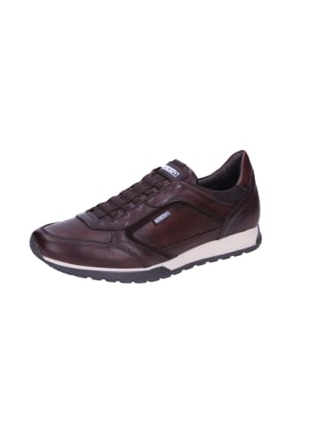 Pikolinos Sportliche Slipper in Braun