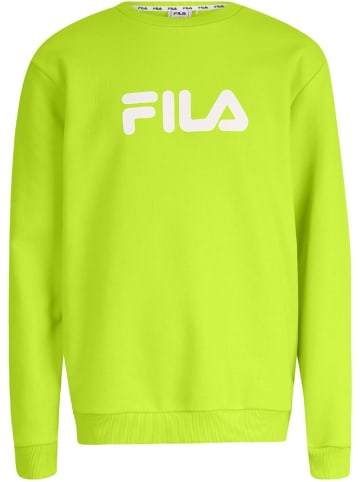 Fila Pullover in Grün