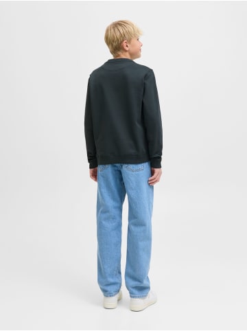 JACK & JONES Junior Sweatshirt JORNORREBRO EMB SWEAT CREW JNR in forest river