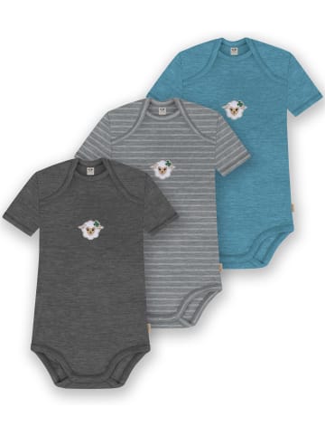 Normani Outdoor Sports 3er Set Baby Merino Body Kurzarm Tauranga in Blau/Grau/Anthrazit