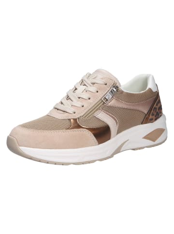 WALDLÄUFER SchnĆ¼rschuh in beige