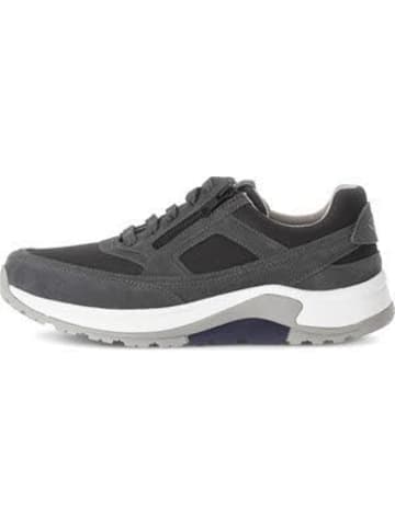 Pius Gabor Schnürschuhe in Grau
