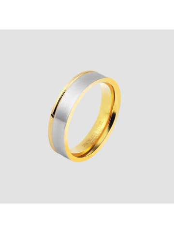 Adeliás Herren Ring aus Edelstahl in silber