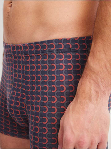 Calida New Boxer in anthrazit