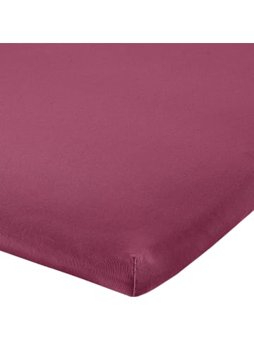 Erwin Müller Single-Jersey Topper-Spannbettlaken Freising in aubergine