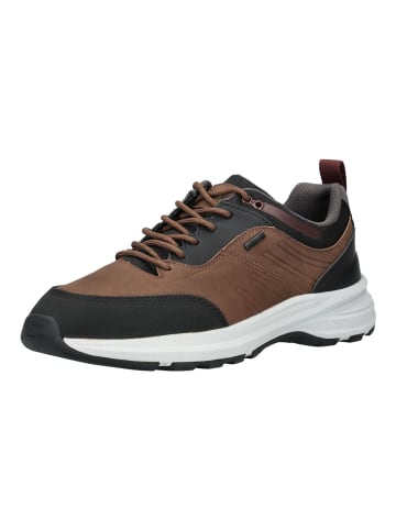 Geox Sneaker in Braun/Schwarz