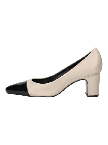 Högl Pumps in Beige/Schwarz