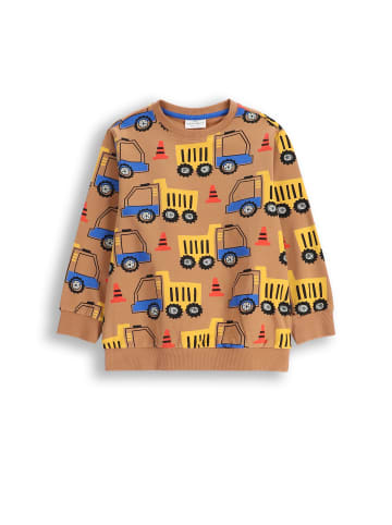 Coccodrillo Sweatshirt in braun