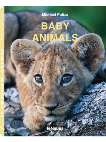 teNeues Media Sachbuch - Baby Animals