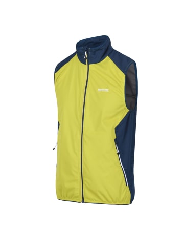 Regatta Weste Softshell Lankin III in Lime