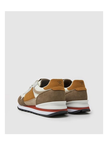 Hackett London Sneakers Telfor in bunt