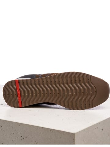 LLOYD Lowtop-Sneaker Emotion in tundra/black/teak