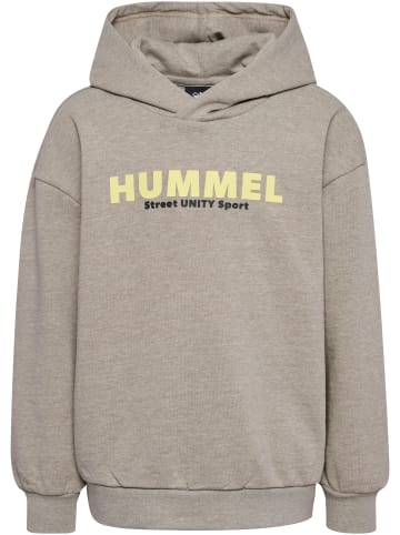 Hummel Hummel Hoodie Hmlzen Jungen Atmungsaktiv in SILVER MINK