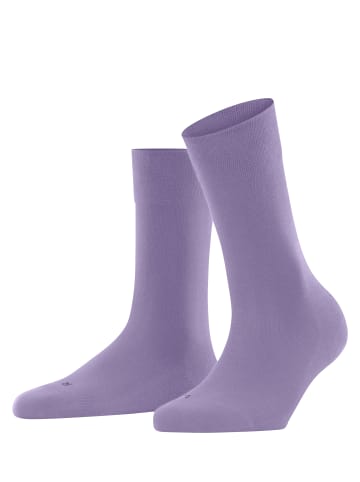 Falke Socken Sensitive London in Lupine