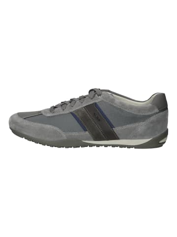 Geox Sneaker in Dunkelgrau