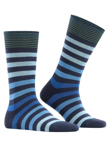 Burlington Socken 3er Pack in Dunkelblau/Hellblau