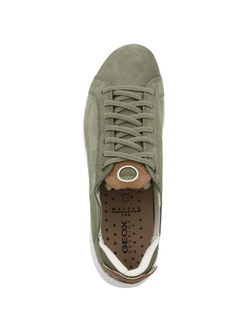 Geox Sneaker low D Aerantis D in gruen