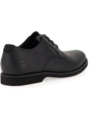 Timberland Sneaker "Lace Up Shoe" in Schwarz