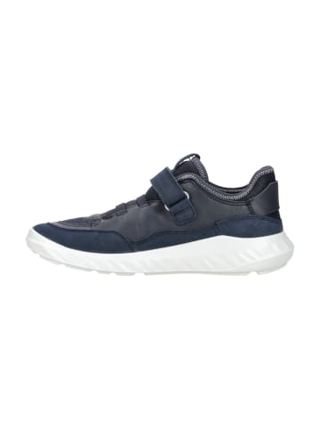 Ecco Sneaker für Jungen in blau