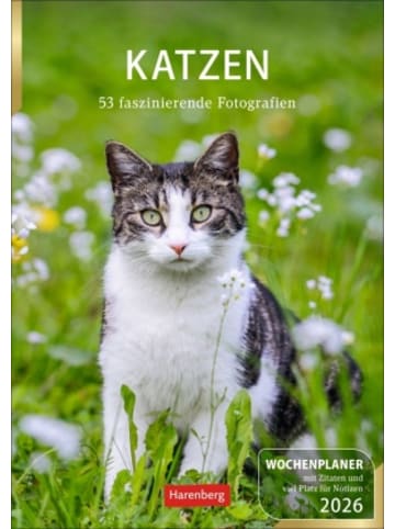 Harenberg Kalender - Katzen Wochenplaner 2026 - 53 faszinierende Fotografien