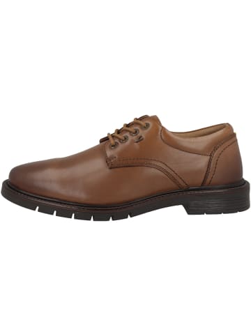 Camel Active Schnürschuhe 55ATA01 in braun