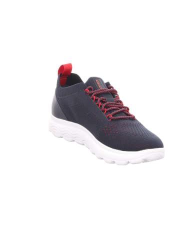 Geox Lowtop-Sneaker in navy