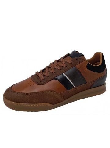 Bullboxer Sneaker in Braun