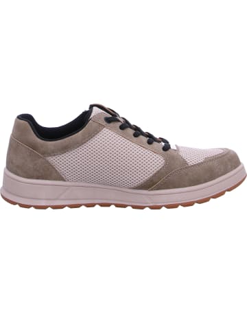 Bugatti Sneaker Artic in Beige