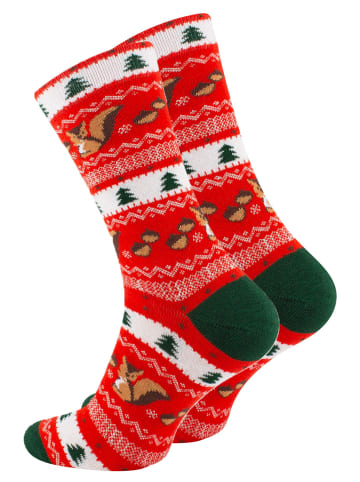 Vincent Creation® Bunte Fun Socken Farbenfrohe Freizeitsocken Damen & Herren in Eichhörnchenrot