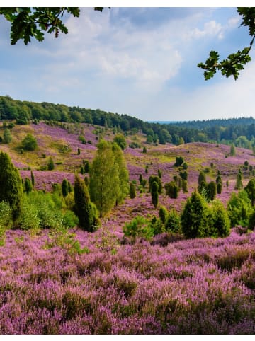 animod ADVENTS-SPECIAL: Wellness-Auszeit im 3*-Superior Heide Hotel Reinstorf