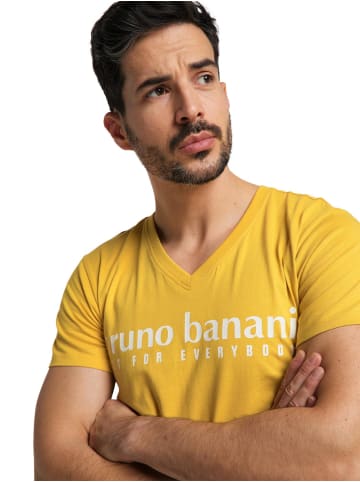 Bruno Banani T-Shirt AVILA in Gelb