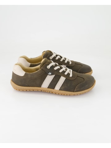 KOEL Sneaker low in Braun