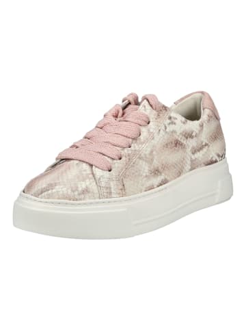 Paul Green Sneaker Rose