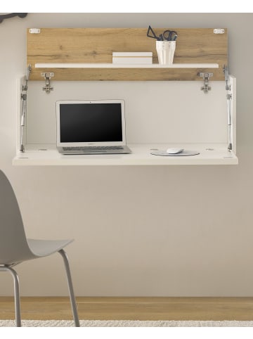 Furn.Design Sekretär Weiß matt, Eiche Wotan 100 cm, Wandschrank mit klappbarem Oberboden
