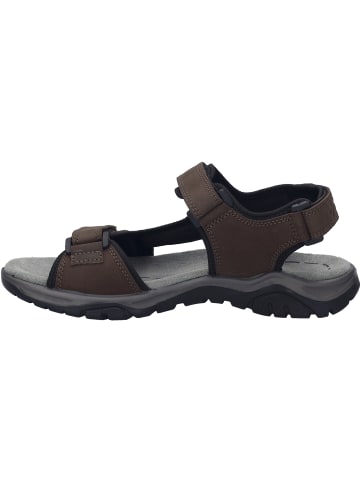 Josef Seibel Freizeitschuhe in braun